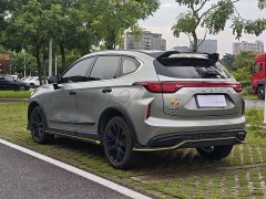 Haval Red Rabbit Engine Edition 1.5T Golden Rabbit - фото 7
