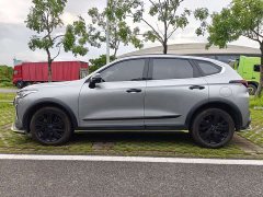 Haval Red Rabbit Engine Edition 1.5T Golden Rabbit - фото 8