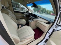 Buick GL8 2023 ES Lu Zun Exclusive - фото 14