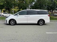 Buick GL8 2023 ES Lu Zun Exclusive - фото 16