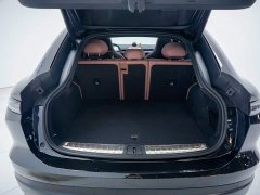 BMW 3 Series 2025 325Li M Sports Package - фото 18