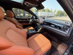 BYD Tangxin Energy DM-i Champion Edition 112KM Honor Type - фото 14