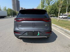 BYD Tangxin Energy DM-i Champion Edition 112KM Honor Type - фото 18