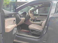 BYD Tangxin Energy DM-i Honor Edition 112KM Premium Type - фото 4