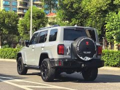 Tank 300 City Edition 2.0T Very Stylish - фото 17