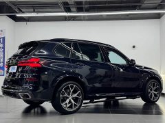 BMW X5 2023 xDrive 30Li M Sport Night Edition Luxury Package - фото 14