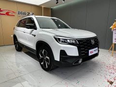Voyah CS75 Edition 1.5T DCTPremium Version - фото 3