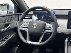 BYD Qin PLUS EV Smart Driving Edition 510KM Enterprising Type - фото 14