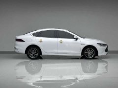 BYD Qin PLUS Champion Edition DM-i 120KM Leading Type - фото 4
