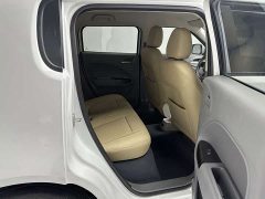 Ora Euler White Cat 2020 305km luxury - фото 10