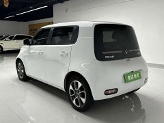 Ora Euler White Cat 2020 305km luxury - фото 5