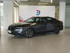 Voyah 260TURBO Flagship Edition - фото 1