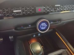 Voyah 260TURBO Flagship Edition - фото 10