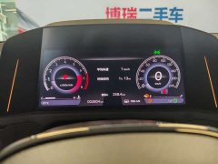 Voyah 260TURBO Flagship Edition - фото 7