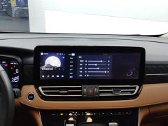 Hongqi HQ9 PHEV 2.0T AWDBusiness Edition - фото 13