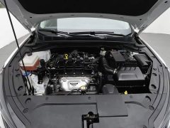 Tank PLUS 1.6L GDI CVT Version - фото 6