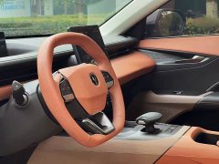 Tank Eado 1.5T GDI Automatic Flagship Edition - фото 14