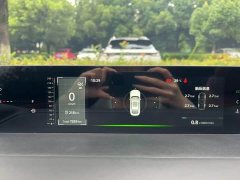 Tank Eado 1.5T GDI Automatic Flagship Edition - фото 15