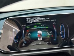 Ora Euler Good Cat 401km standard battery life luxury lithium iron phosphate - фото 18