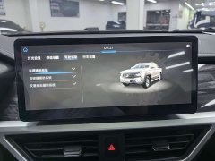 Win Poer 2024 Commercial 2.0T Diesel 4WD Automatic Long Wheelbase Luxury Edition - фото 13