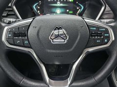Win Poer 2024 Commercial 2.0T Diesel 4WD Automatic Long Wheelbase Luxury Edition - фото 16