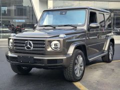 Mercedes-Benz G-Class 2020 G 350 - фото 1