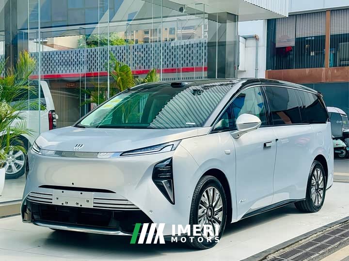 Buick Zhijing Family Luxury Edition - автомобиль из Китая