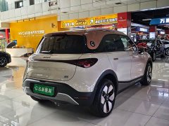 smart#1 Edition - фото 18