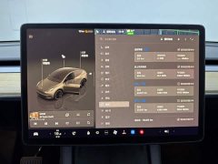Tesla Model Y long-range all-wheel drive version - фото 14