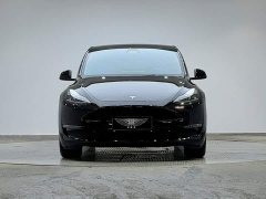 Tesla Model Y long-range all-wheel drive version - фото 2