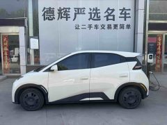 BYD Edition - фото 3