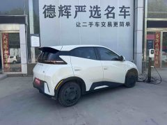 BYD Edition - фото 6