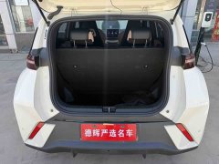 BYD Edition - фото 9