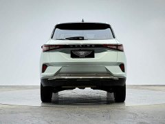 Wuling Xingchen 2.0L DHT electric - фото 3