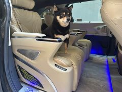 2.5LPHEV Luxury Edition - фото 10