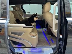 2.5LPHEV Luxury Edition - фото 12