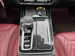 Hongqi HS5 2023 2.0T Qixiang Pro Edition - фото 19