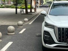 Hongqi HS5 2.0T Qixiang Pro Edition - фото 7