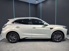 Hongqi HS5 2023 2.0T Qixiang Pro Edition - фото 4