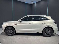 Hongqi HS5 2023 2.0T Qixiang Pro Edition - фото 5
