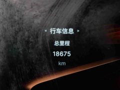 Hongqi H6 2.0T Zhiyi Edition - фото 16