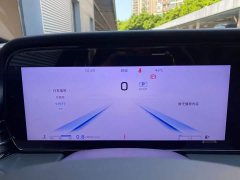 Hongqi HS5 2.0T four-wheel drive Qixiang Pro version - фото 16