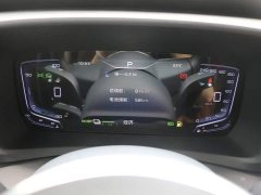 Hongqi HQ9 PHEV 2.0T AWD Business Edition - фото 6