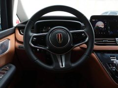 Hongqi HQ9 PHEV 2.0T AWD Business Edition - фото 7