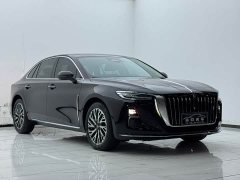 Hongqi H5 2024 2.0T Automatic Zhilianqichang Edition - фото 2