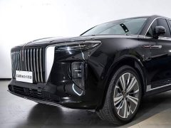 Hongqi E-HS9 660km Qichang version six seats - фото 4