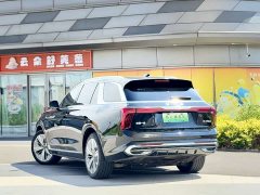 Hongqi E-HS9 690km flagship version six seats - фото 3