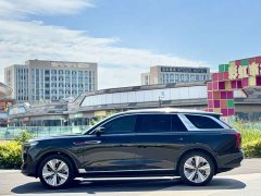 Hongqi E-HS9 690km flagship version six seats - фото 5