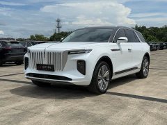Hongqi E-HS9 660km Qichang version six seats - фото 1