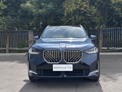 Tank X3 xDrive30L Version M - фото 2
